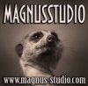   Magnusstudio