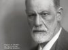   Freud